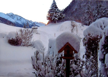aussicht jägerheim ferienwohnung jerzens pitztal